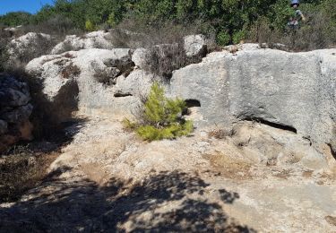 Trail On foot Mate Yehuda Regional Council - IL-9315 - Photo