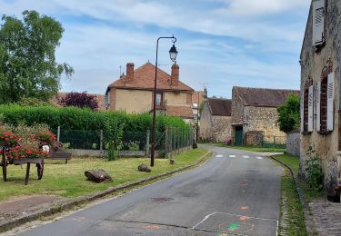 Tocht Wegfiets Paron - 175 NO90 Villeneuve la Guyard # Voulx-01 - Photo