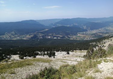 Tocht Stappen Villard-de-Lans - col des 2 sœurs - Photo