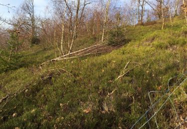 Tocht Te voet Sundern - Endorf Rundweg E1 - Photo