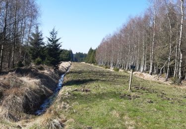 Trail Walking Eupen - ternelle  - Photo