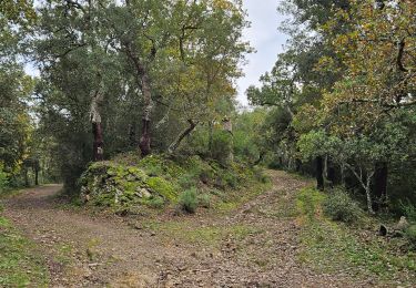 Tocht Stappen Pignans - Notre dame des anges - Photo