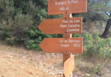 Randonnée Marche Castellar - mont carpano au départ de Castellar - Photo