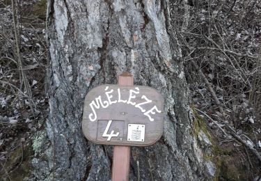 Tour Wandern Ubaye-Serre-Ponçon - l escoubaye - Photo