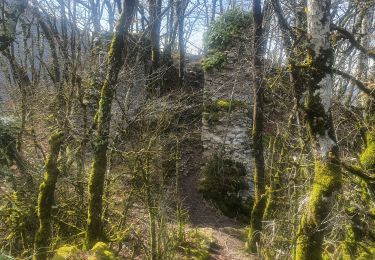 Trail Walking Seyssel - 14-03-2022 Seyssel - La Montagne des Princes  - Photo