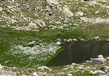 Tour Wandern Saint-Colomban-des-Villards - Lac de la Croix reco 16-08-2024 - Photo