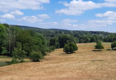 Tocht Stappen Montcornet - Montcornet Ardennes - Photo