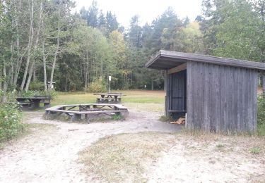 Percorso A piedi Härnösands domkyrkodistrikt - Smitingleden - Photo