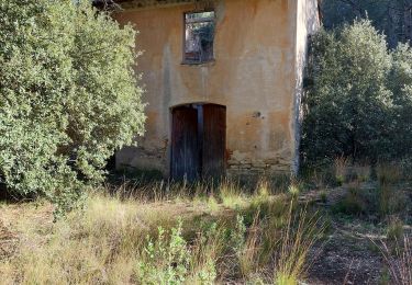 Randonnée A pied Le Beausset - les quatre frères de Daniel  - Photo