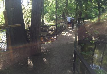 Percorso Bici ibrida Verviers - Bois du Staneux  - Photo