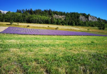 Tocht Noords wandelen Arbaz - 07.07.20 botire  - Photo