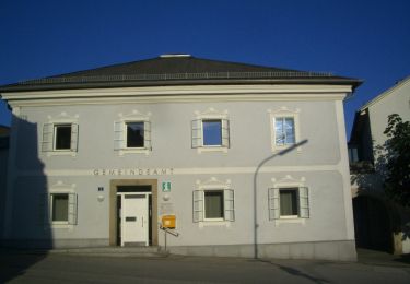 Tocht Te voet Schönau im Mühlkreis - Naarntal-Erlebnisweg - Photo