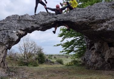 Tocht Mountainbike Cornus - guilhomard  - Photo