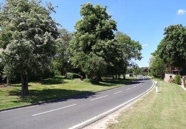 Randonnée A pied Nottertal-Heilinger Höhen - Rundweg Volkenrodaer Wald - Photo