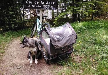 Tocht Mountainbike Bonlieu - Bonlieu Jura Col de joux 22.05.2023 - Photo