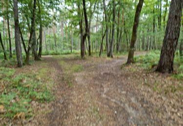 Trail Walking Vendôme - Vendôme Bois de l'Oratoire Circuit 1 - Photo