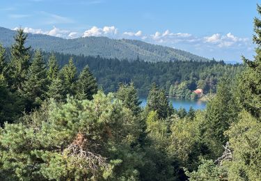 Tocht Stappen Cayres - Circuit Lac du Bouchet 2 - Photo