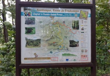 Trail Walking Le Morne-Vert - Montjoly - Les pitons du Carbet - Photo