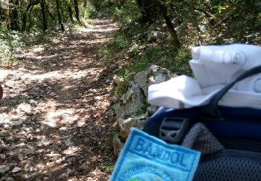 Trail Walking Signes - Le Latay R Bandol 2b - Photo