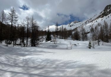 Trail Snowshoes Entraunes - Pointe du Génépi  - Photo