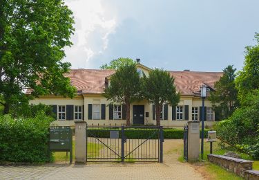 Tour Zu Fuß Lübben (Spreewald) - Rundwanderweg (Lübben-Steinkirchen) - Photo