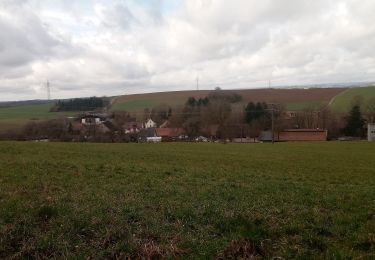 Randonnée A pied Adelsheim - Rundwanderweg Wemmershof 2: Grenzwall-Weg - Photo