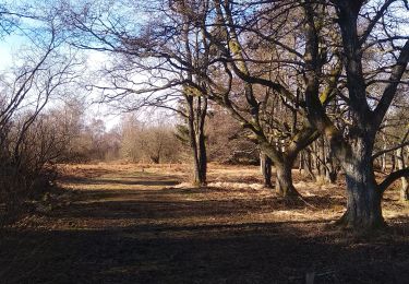 Tocht Stappen Eupen - Ternell 1 - Photo