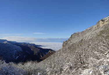 Trail Walking Beauregard-Baret - pré des marchands - Photo