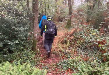 Trail Walking Clisson - Clisson Le Tail  - Photo