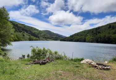 Tocht Stappen Le Saix - lac Peyssier - Photo