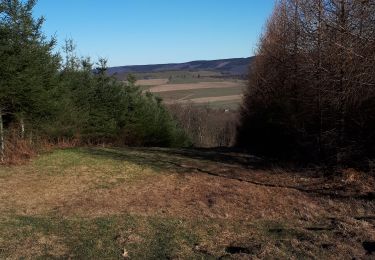 Trail Walking Stoumont - ancienne barrière- Rahier  - Photo