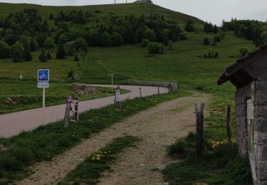 Excursión Bici de montaña Guebwiller - Circuit V5 Florival 2022 - Photo