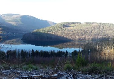 Trail Walking Stavelot - tour lac coo - Photo