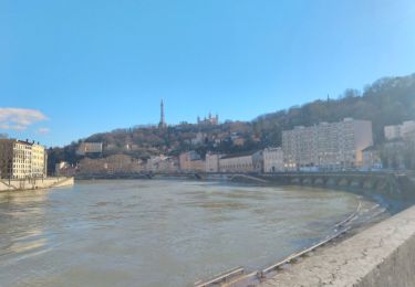 Trail Walking Lyon - LYON 9 Bords de SAÔNE de Valmy à Valmy - Photo