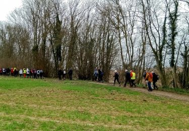 Randonnée Marche Castres - Castres du 02-04-2023 après midi  - Photo