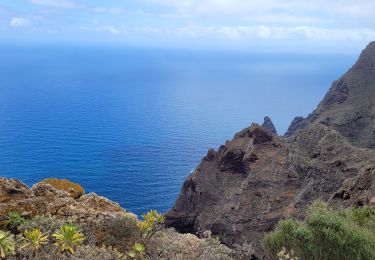 Tour Wandern San Cristóbal de La Laguna - Punta del Hidalgo  - Chinamada  - Photo