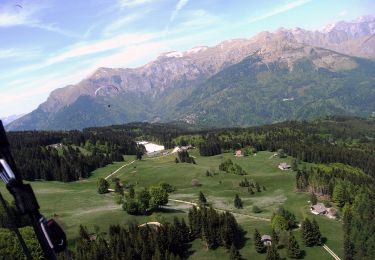 Tour Zu Fuß Enego - Sentiero dei Cippi - Photo