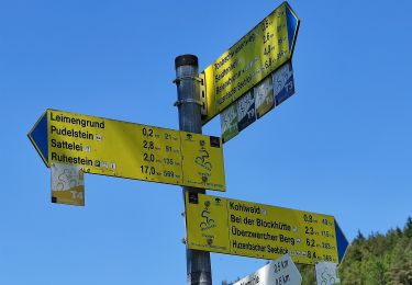 Excursión A pie Baiersbronn - Satteleisteig - Photo
