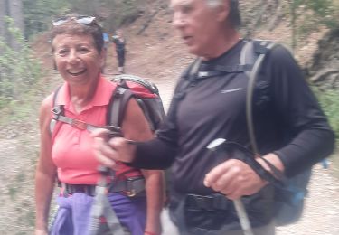 Excursión Senderismo Estoublon - Trevans les gorges - Photo