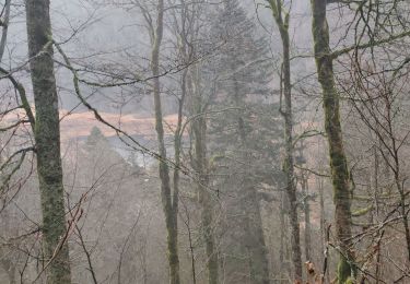 Randonnée Marche La Bresse - Col du Bramont - Photo