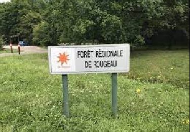 Tour Wandern Nandy - J 16 Forêt de Rougeau, Nandy, Savigny - Photo