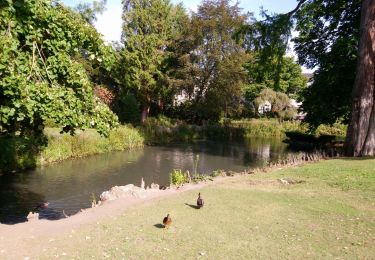 Tocht Stappen Tours (Indre-et-Loire) - Tours Cher - 2016 02 14 - Photo