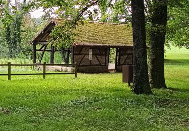 Tocht Stappen Maraye-en-Othe - Balade aux Boulins - Photo