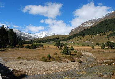 Excursión A pie Blenio - Sentiero naturalistico Lucomagno 2 - Photo
