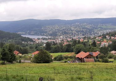 Tour Wandern Le Syndicat - plaine cleurie - la mauselaine - Photo