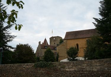 Randonnée A pied Montoillot - Boucle des Trois Châteaux - Photo