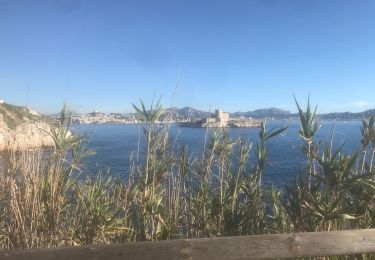 Trail Walking Marseille - Frioul  - Photo