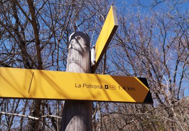 Trail Walking La Roche-des-Arnauds - Sentier de la Poltrona/Combe du Duc. - Photo