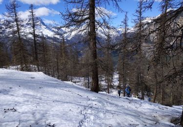 Tour Schneeschuhwandern Puy-Saint-Vincent - les têtes 18 03 2021 - Photo