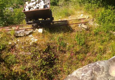 Trail Walking Moigny-sur-École - moigny sur ecole - Photo